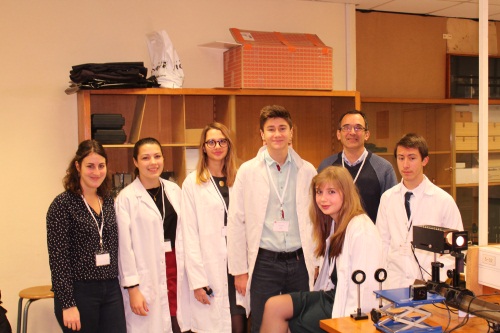 la recherche dans la peau